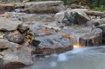 Backyard Koi Pond in Atlanta by Aquascape Pond Contractors Universal Aquatics — Landscape Construction project by Universal Aquatics