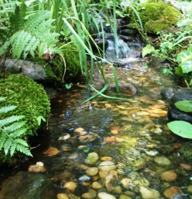 Natural Stream Projects in Atlanta — Landscape Construction project by Universal Aquatics