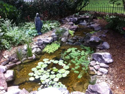 Universal Aquatics - Garden Remodeling in Snellville, GA