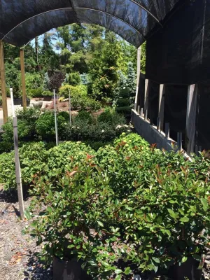 Urban Gardens Inc. - Drip Irrigation System Installation in Reisterstown, MD