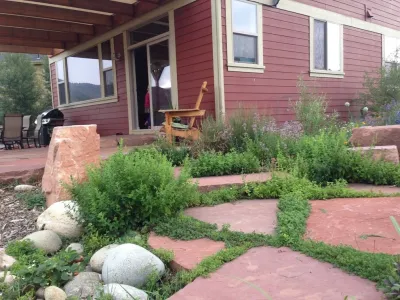 Urban Oasis - Tree Planting & Transplanting in Lyons, CO