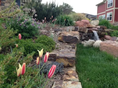 Urban Oasis - Tree Planting & Transplanting in Lyons, CO