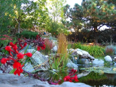 Urban Oasis - Tree Planting & Transplanting in Lyons, CO
