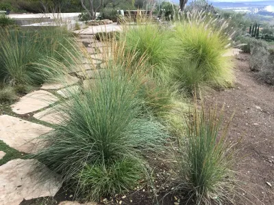 Valencia Tree & Landscape - Tree & Shrub Care in Santa Barbara, CA
