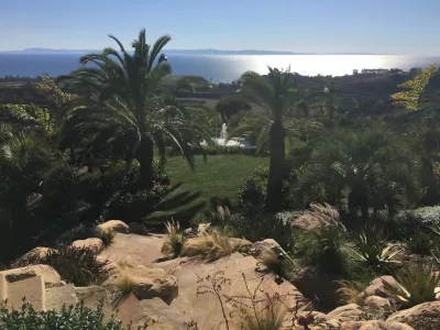 Valencia Tree & Landscape - Tree & Shrub Care in Santa Barbara, CA