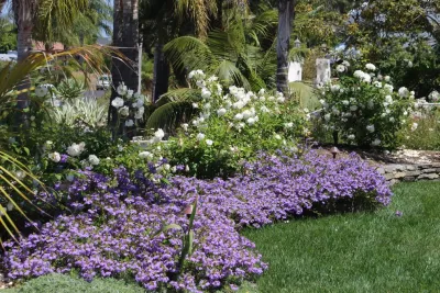 Van Slyke Landscape - Lawn Aeration in Olivenhain, CA