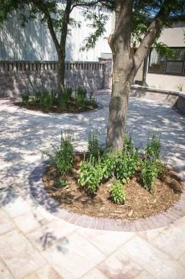 Vande Hey Company, Inc - Land Cleaning in Appleton, WI