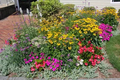 Vetelino Landscape, Inc. - Seasonal Yard Cleaning in Green Harbor, MA