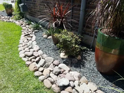 VHS Landscaping - Tree Planting & Transplanting in San Antonio, TX