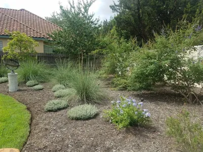 VHS Landscaping - Tree Planting & Transplanting in San Antonio, TX