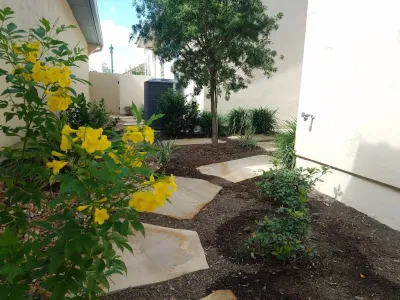 VHS Landscaping - Tree Planting & Transplanting in San Antonio, TX