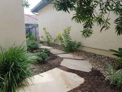 VHS Landscaping - Tree Planting & Transplanting in San Antonio, TX