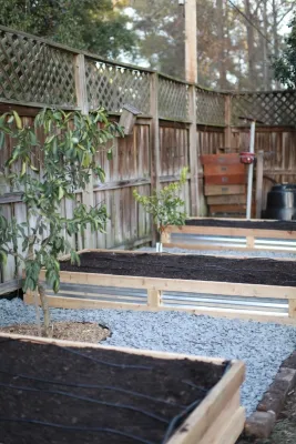 Victory Gardens - Tree & Shrub Care in Savannah, GA
