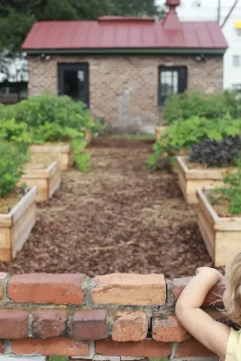 Victory Gardens - Tree & Shrub Care in Savannah, GA