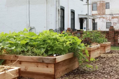 Victory Gardens - Tree & Shrub Care in Savannah, GA