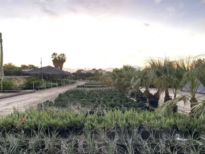 Vintage Nursery - Vintage Outdoors - Tree & Shrub Care in Bermuda Dunes, CA