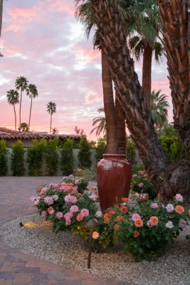 Vintage Outdoors Projects — Landscape Construction project by Vintage Nursery - Vintage Outdoors in Bermuda Dunes