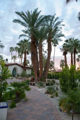 Vintage Nursery - Vintage Outdoors - Tree & Shrub Care in Bermuda Dunes, CA