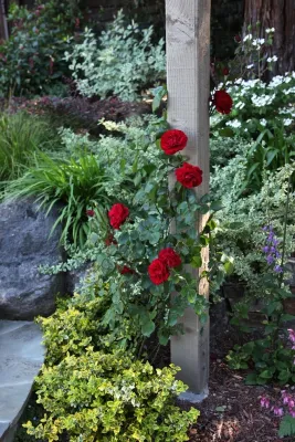 Beautiful Ponds, Fountains, and Arbors by Vision Scapes & Associates