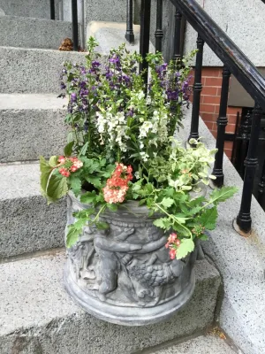 Vista Horticultural Services, LLC - Irrigation System Repair in Westborough, MA