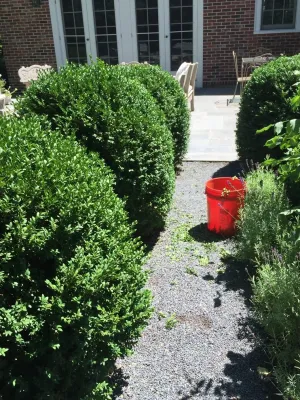 Vista Horticultural Services, LLC - Irrigation System Repair in Westborough, MA