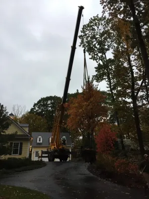 Vista Horticultural Services, LLC - Irrigation System Repair in Westborough, MA