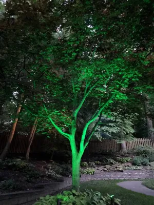 Colored LED lighting — Landscape Construction project by VIVID Landscape & Lighting in Evansville