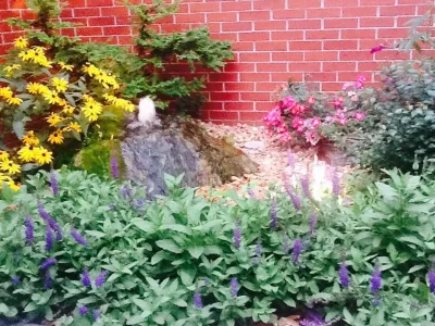 Water Features — Landscape Construction project by VIVID Landscape & Lighting in Evansville