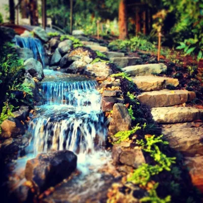 Vivid Service Group, LLC. - Garden Remodeling in Mcdonough, GA