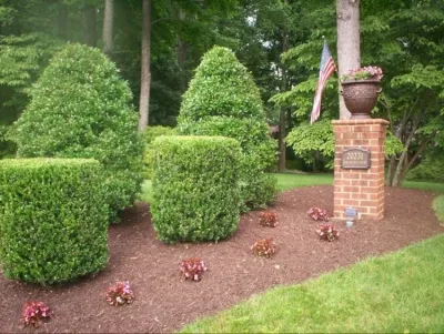 W.D.S. Inc. - Landscape Maintenance in Chesterfield, VA