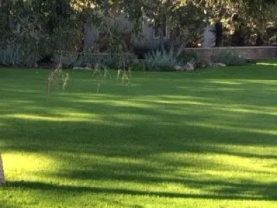 Turf Renovation! — Landscape Construction project by Waibel & Associates Landscape Architecture