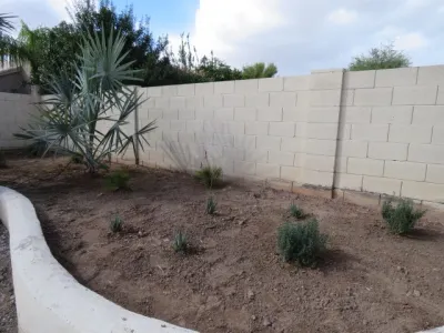 Waibel & Associates Landscape Architecture - Landscape Construction in Tempe, AZ