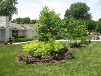 Transformed Gardens — Landscape Construction project by Well Rooted Gardens