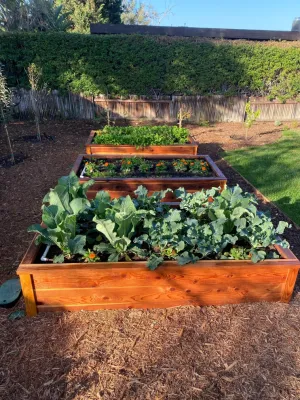 Wellness Landscape - Landscape Maintenance in Encinitas, CA