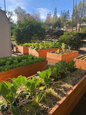 Wellness Landscape - Landscape Maintenance in Encinitas, CA