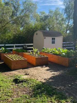 Wellness Landscape - Landscape Maintenance in Encinitas, CA