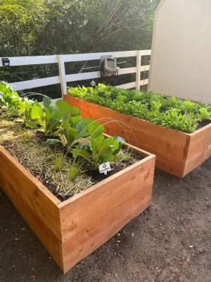Wellness Landscape - Landscape Maintenance in Encinitas, CA