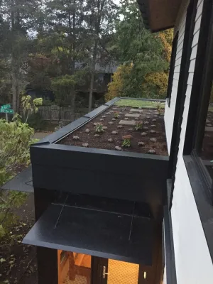 Wedgewood Greenroof and Raingarden Project — Landscape Construction project by West Edge Landworks LLC