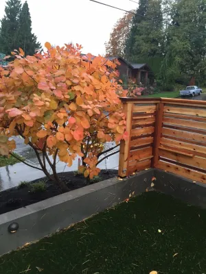 Kirkland Landscape Renovation — Landscape Construction project by West Edge Landworks LLC