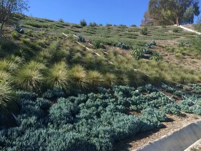 Western Landscape Maintenance Plus - Landscape Maintenance in Fallbrook, CA