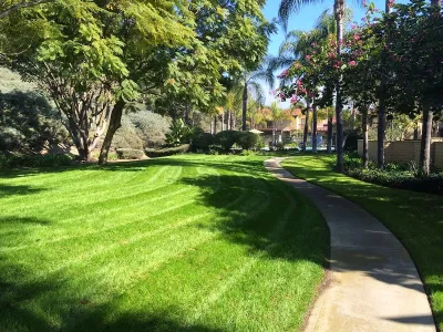 Western Landscape Maintenance Plus - Landscape Maintenance in Fallbrook, CA