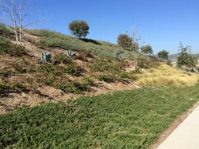 Western Landscape Maintenance Plus - Landscape Maintenance in Fallbrook, CA