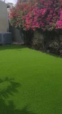 Turf — Landscape Construction project by Westside Lawns, Inc. in Los Angeles