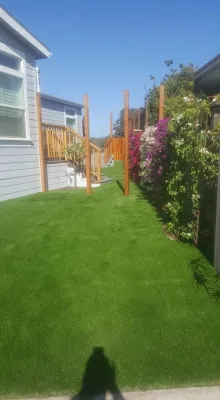 Westside Lawns, Inc. - Drought-Resistant Lawn Installation in Los Angeles, CA