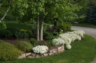 Whitehead Landscaping, Inc. - Landscape Maintenance in Hailey, ID