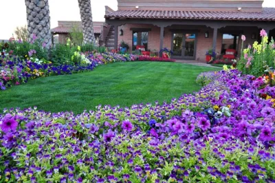 Wickenburg Landscape & Irrigation Inc - Landscape Maintenance in Wickenburg, AZ