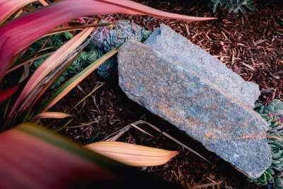Wild Bloom - Drought-Resistant Lawn Installation in Los Osos, CA