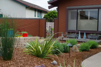 Wild Bloom - Drought-Resistant Lawn Installation in Los Osos, CA