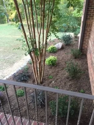 Midland NC Trull Project by Wilson's Natural Landscaping, LLC
