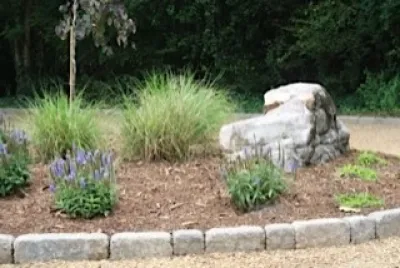 Wilson's Natural Landscaping, LLC - Tree & Shrub Care in Locust, NC